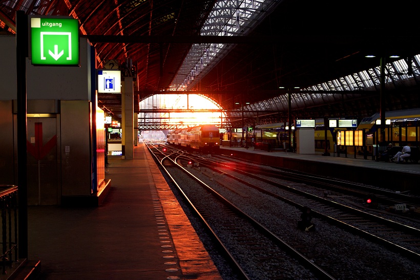 IMG31382.jpg
