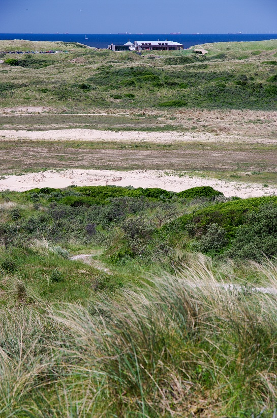 IMG31431.jpg
