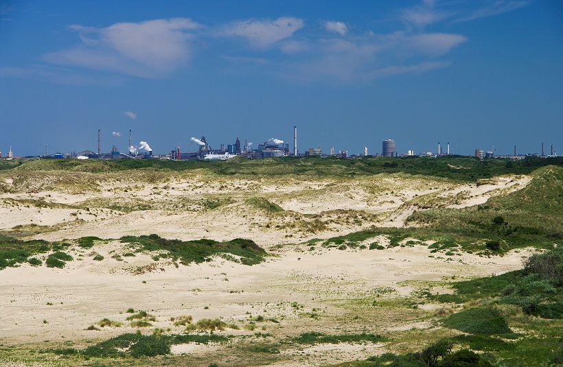 IMG31432.jpg