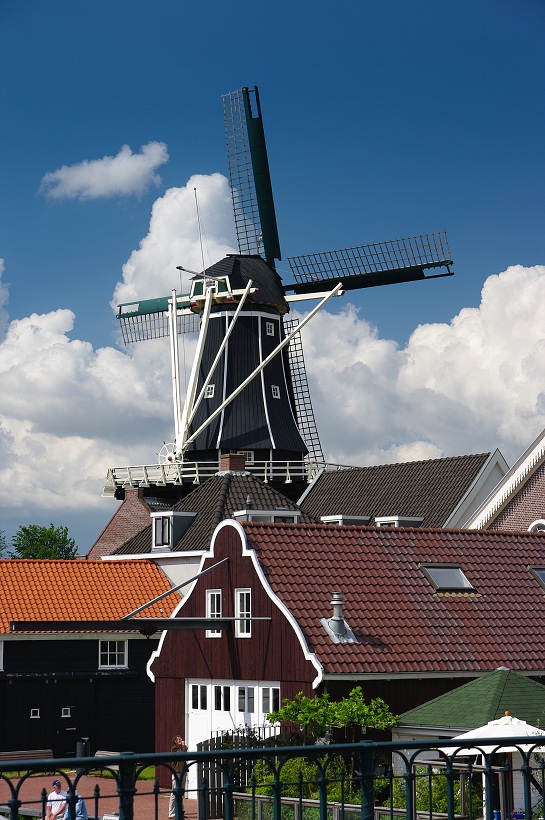 IMG31467.jpg