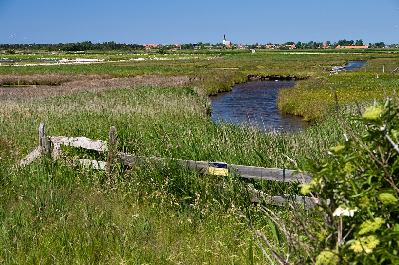 IMG31580.jpg