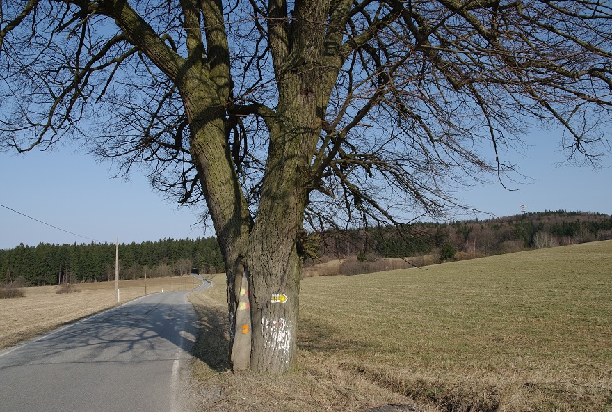 img00029.jpg