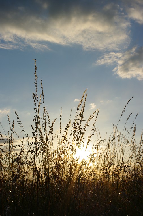 img00008.jpg