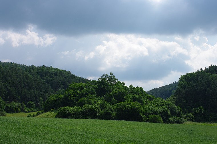 img00016.jpg
