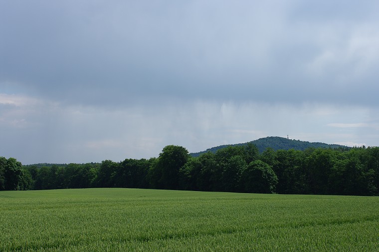 img00054.jpg