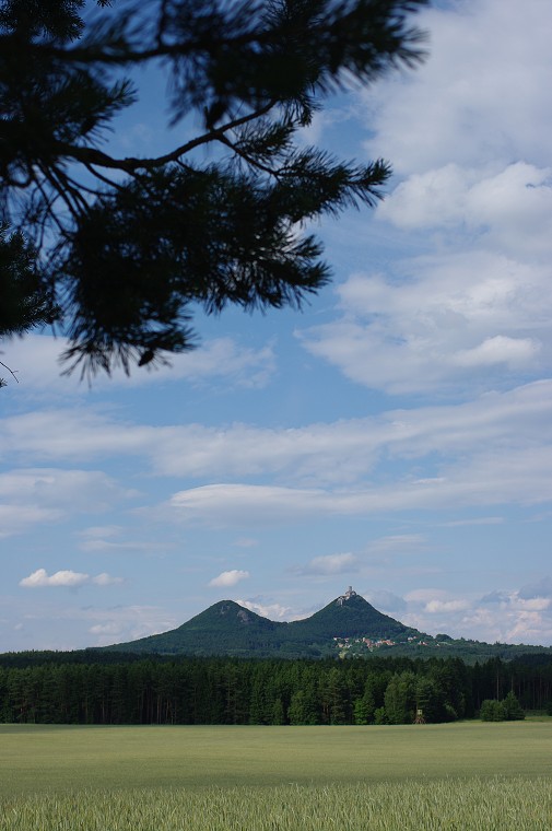 img00063.jpg