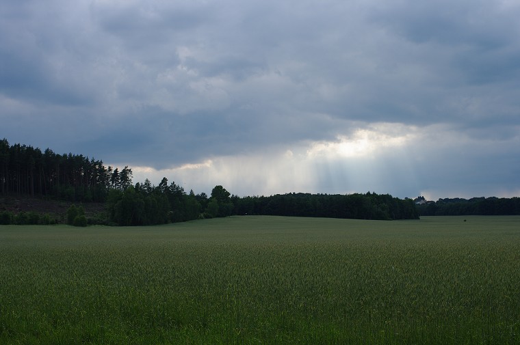 img00064.jpg