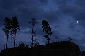 thn00010.jpg