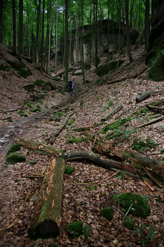 IMG36752.jpg