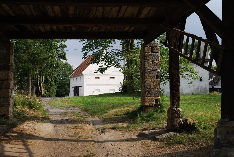 IMG36794.jpg
