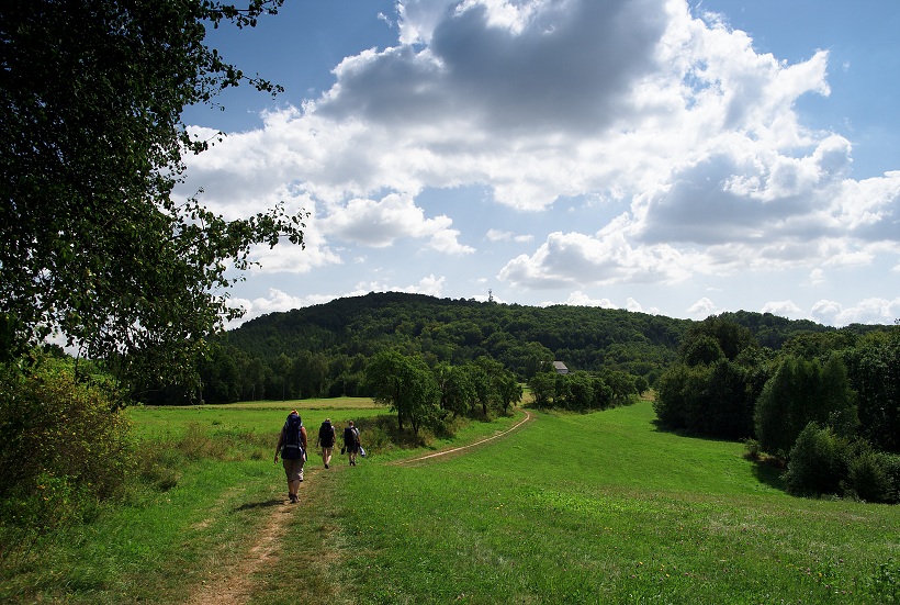 IMG36879.jpg