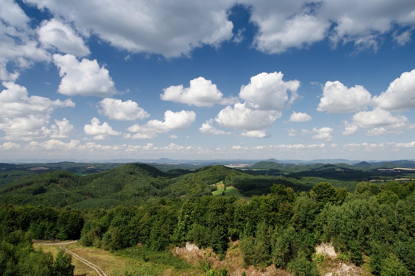 IMG36887.jpg