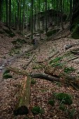 thn_IMG36752.jpg