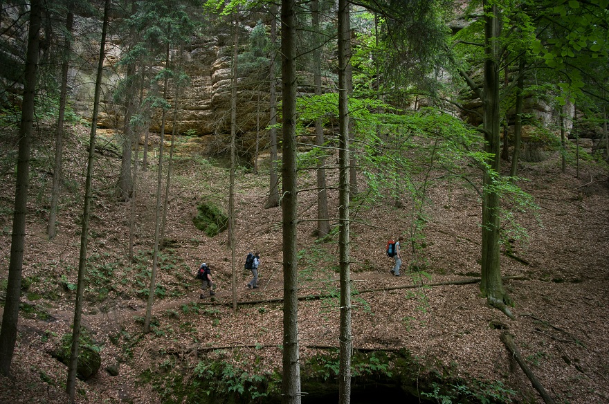 img00012.jpg