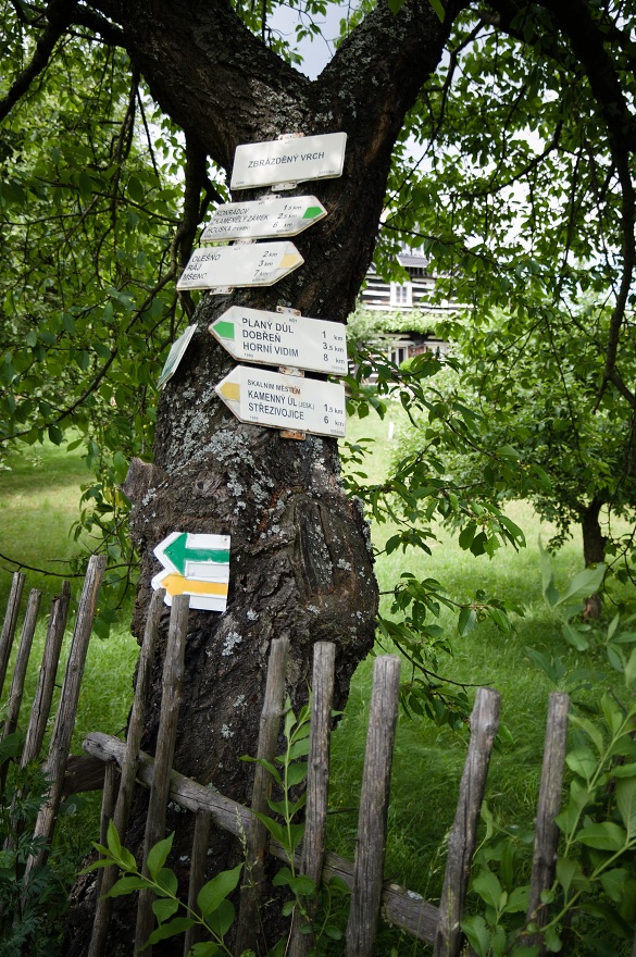 img00015.jpg