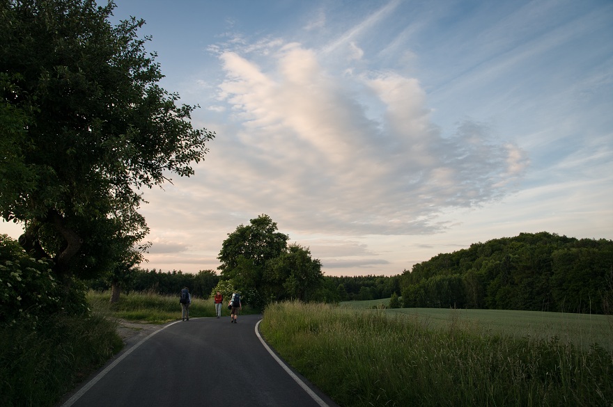 img00031.jpg