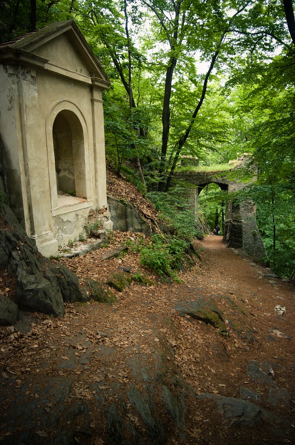 img00047.jpg