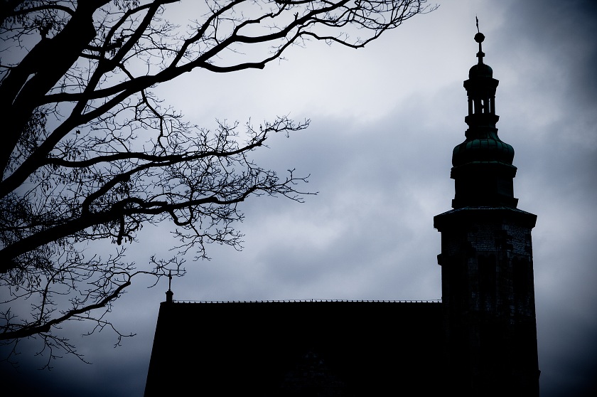 IMG42657.jpg