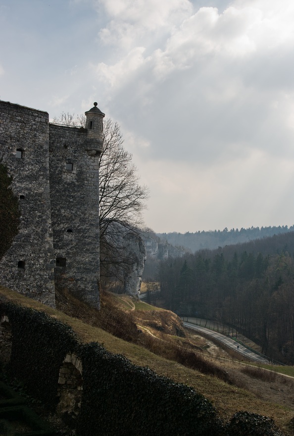 img00008.jpg