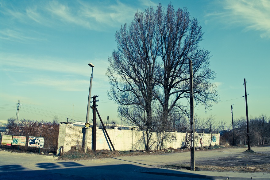 img00023.jpg