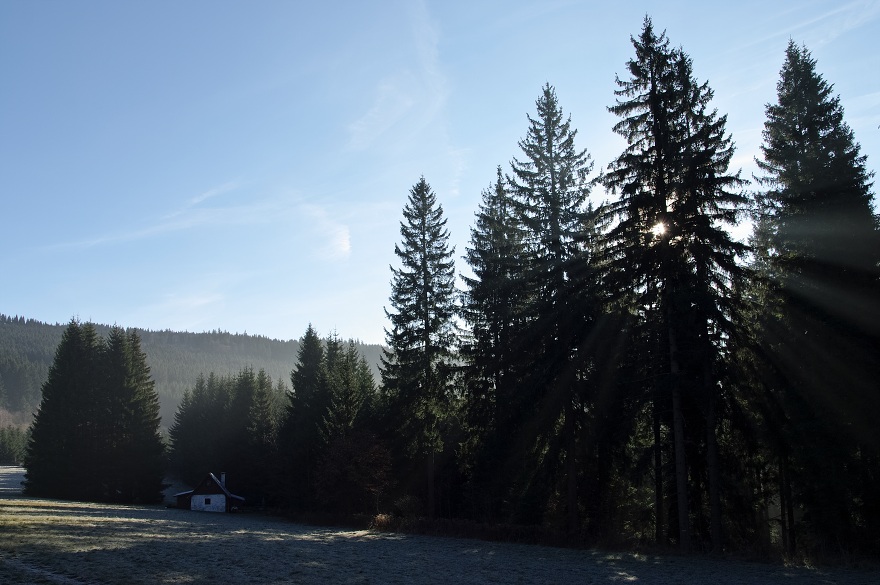 img00007.jpg