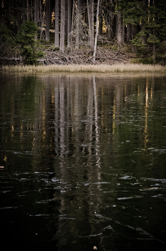 img00014.jpg