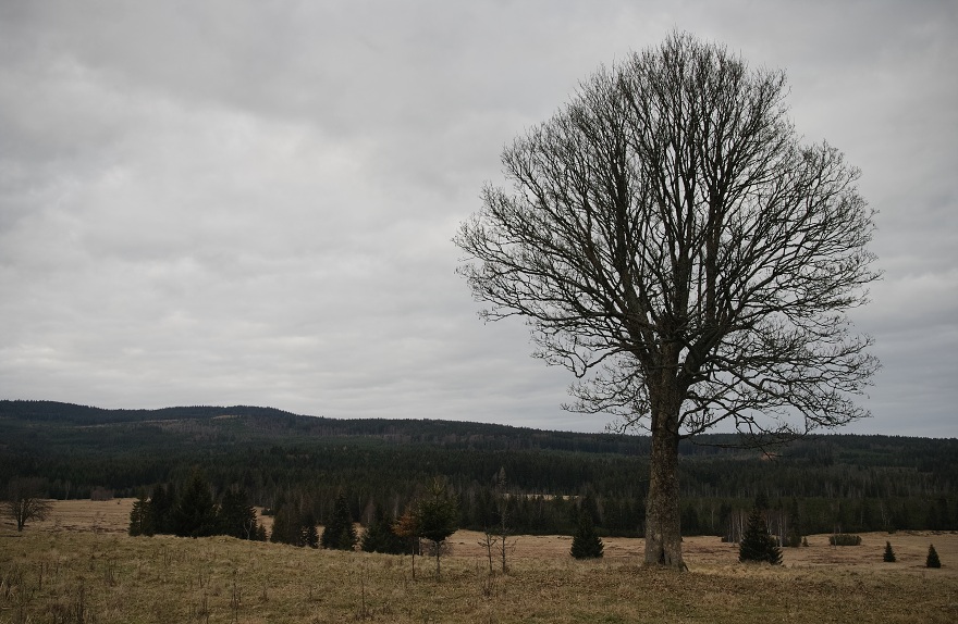 img00059.jpg