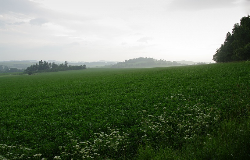 IMG33169.jpg