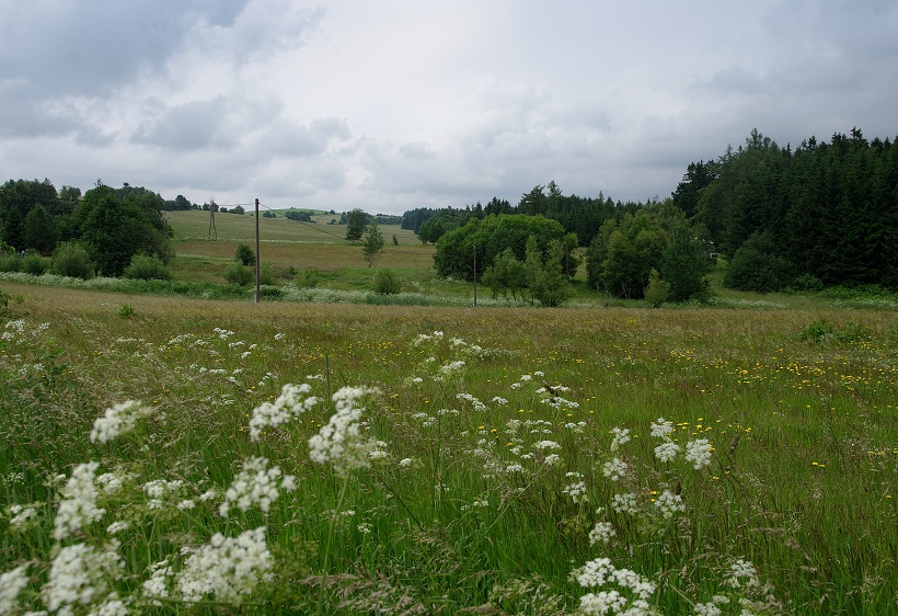 IMG33230.jpg