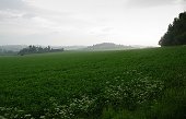 thn_IMG33169.jpg