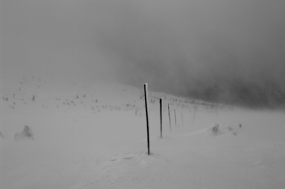IMG81802.jpg