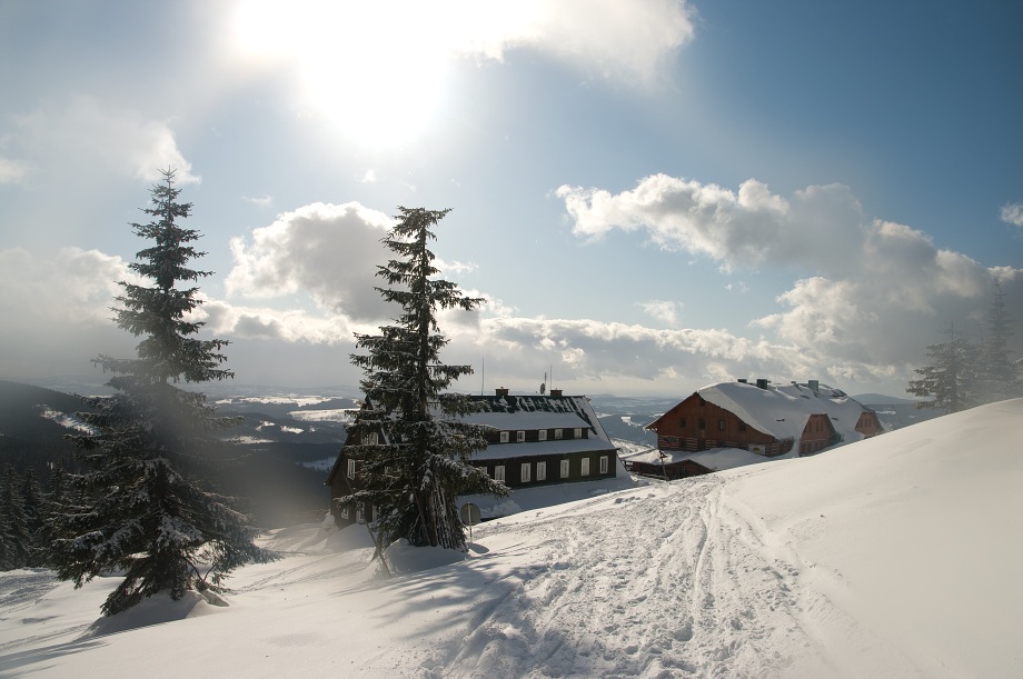 IMG81933.jpg