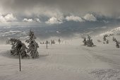 thn_IMG81909.jpg