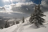 thn_IMG81928.jpg
