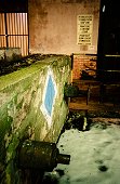 thn_IMG46176.jpg