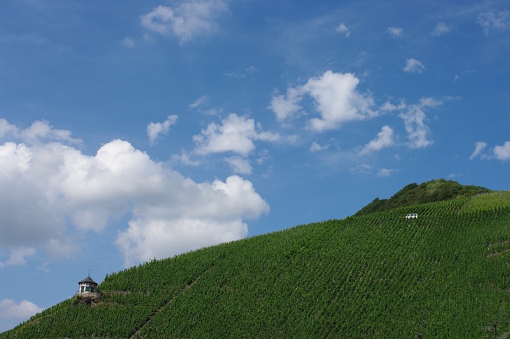 img00036.jpg