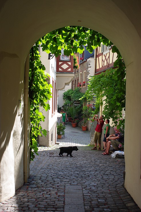 img00050.jpg