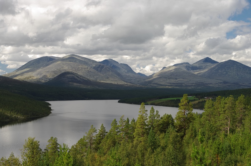 img00003.jpg
