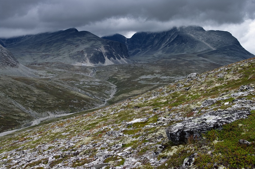 img00016.jpg