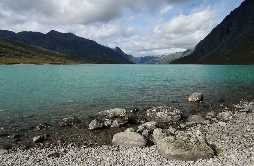 img00004.jpg