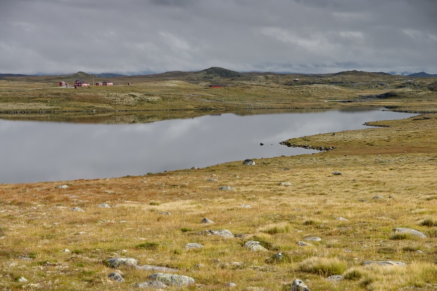 img00002.jpg