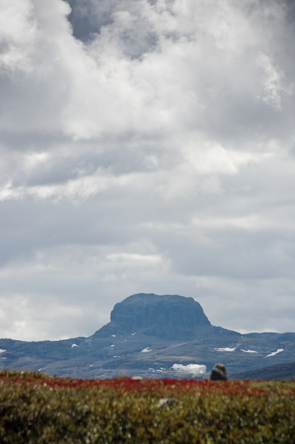 img00009.jpg