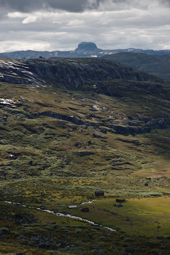 img00012.jpg