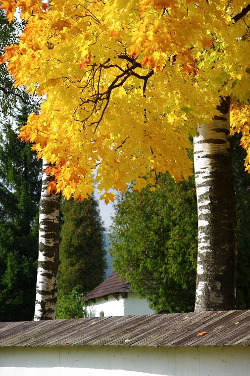 img00001.jpg