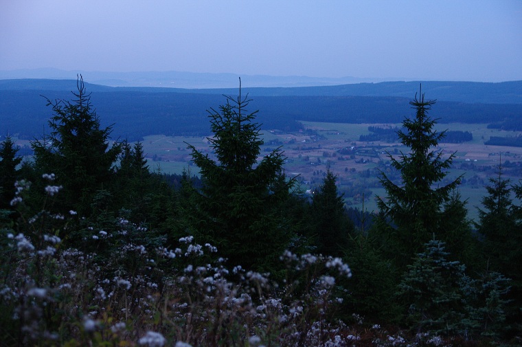 img00012.jpg