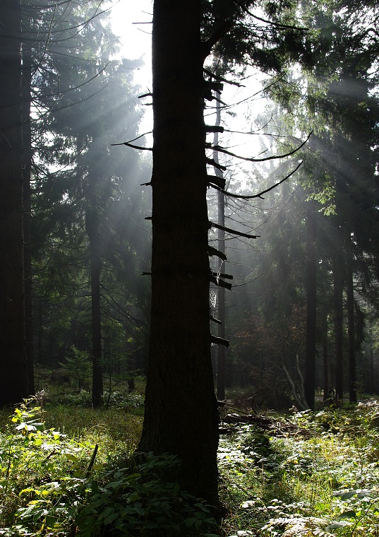 img00022.jpg
