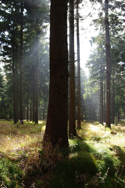 img00025.jpg