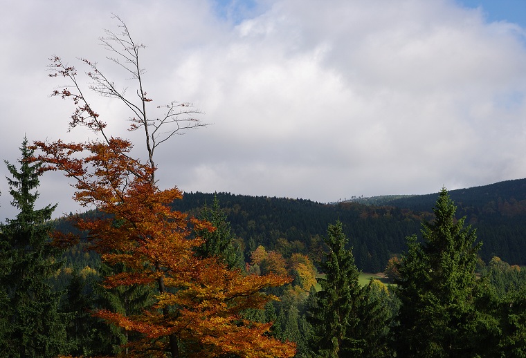 img00030.jpg