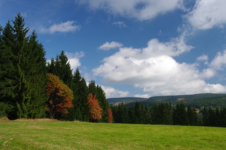 img00035.jpg