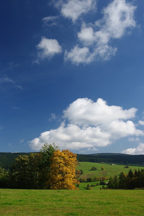 img00038.jpg